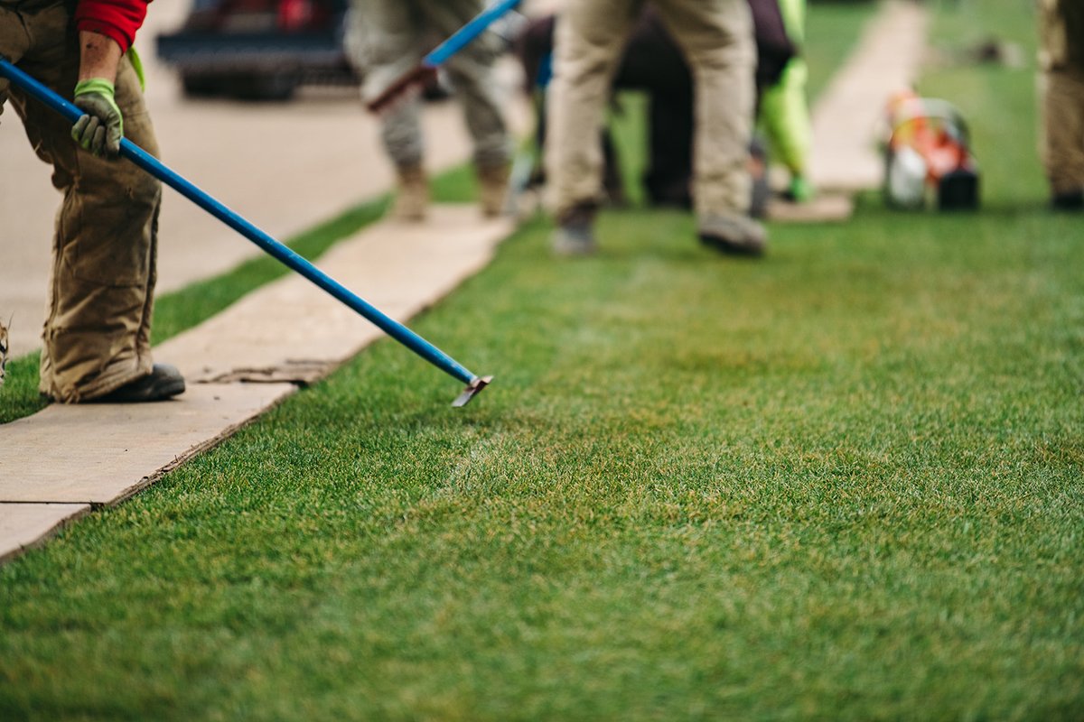 TQLStadium's tweet image. Look what's coming 👀