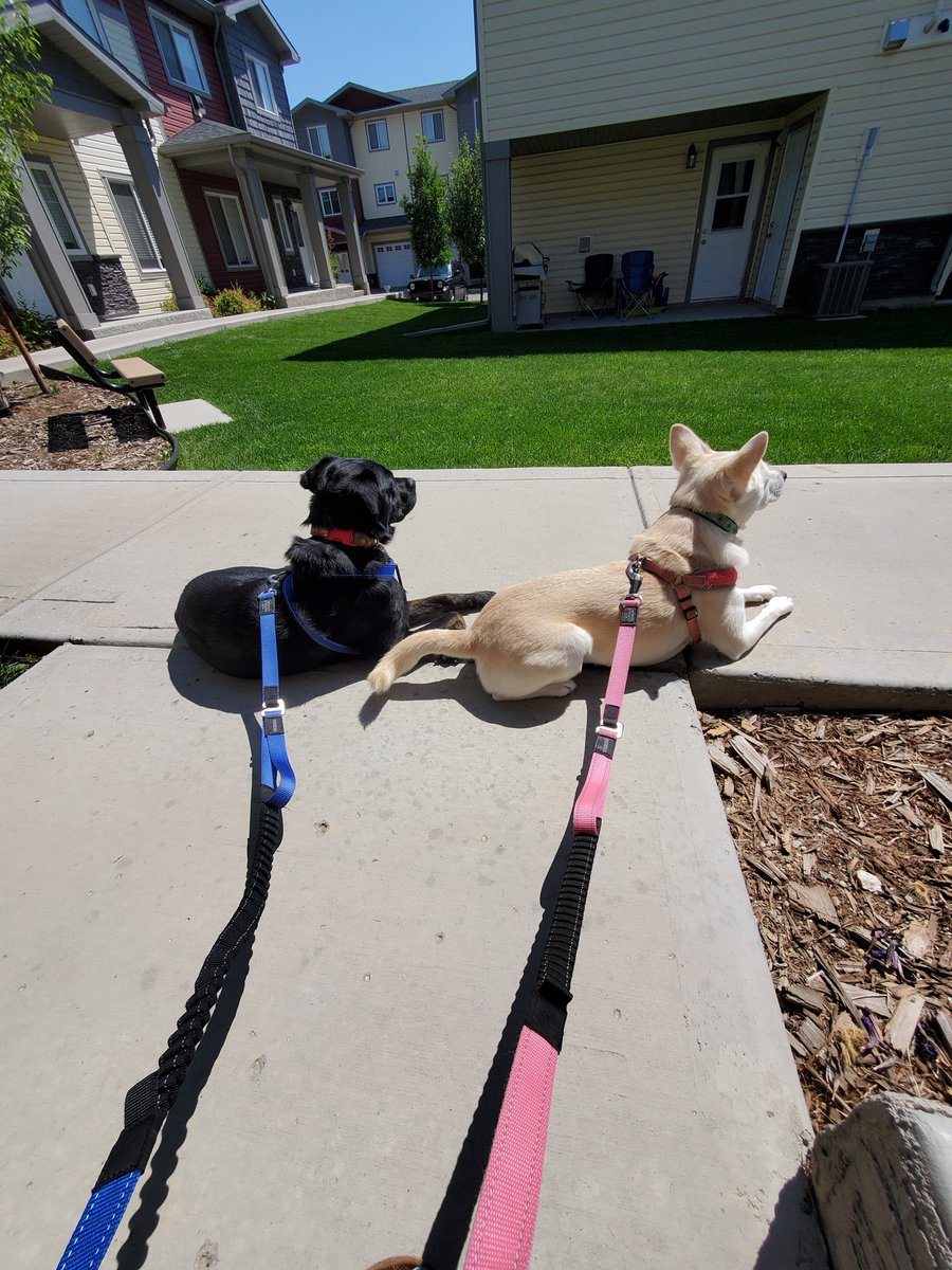 I have decided to spam Twitter with cuteness today!! Feel free to join me!!!