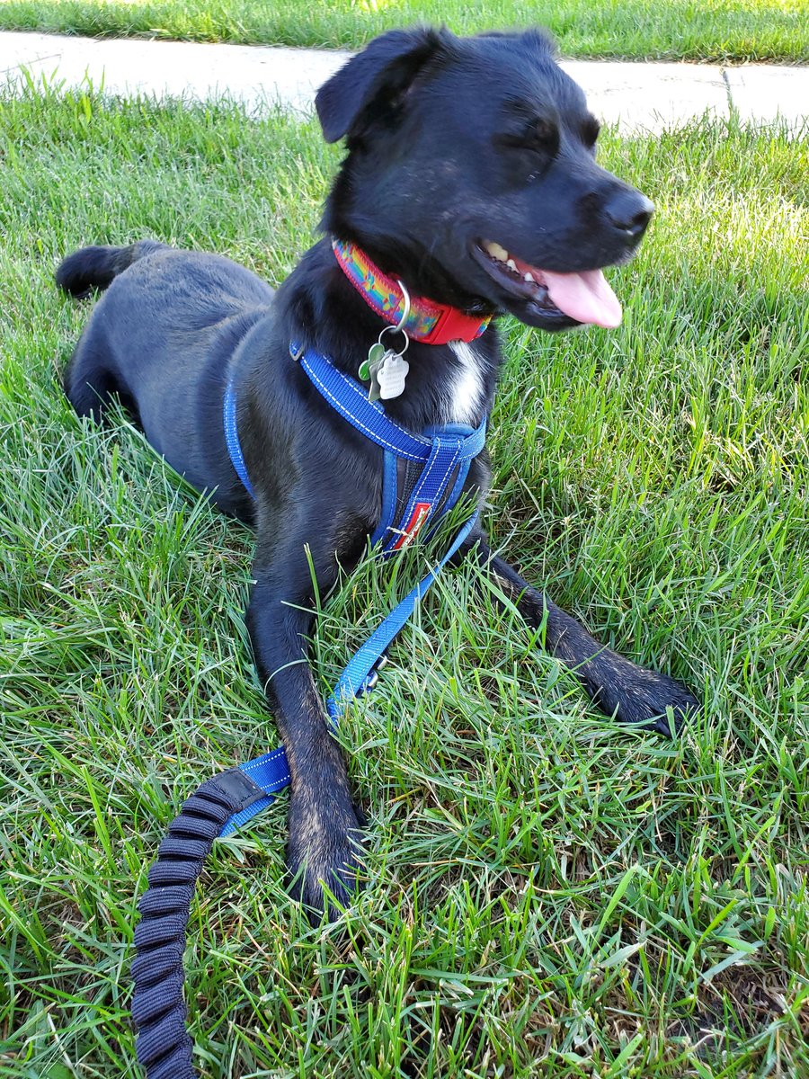 I have decided to spam Twitter with cuteness today!! Feel free to join me!!!