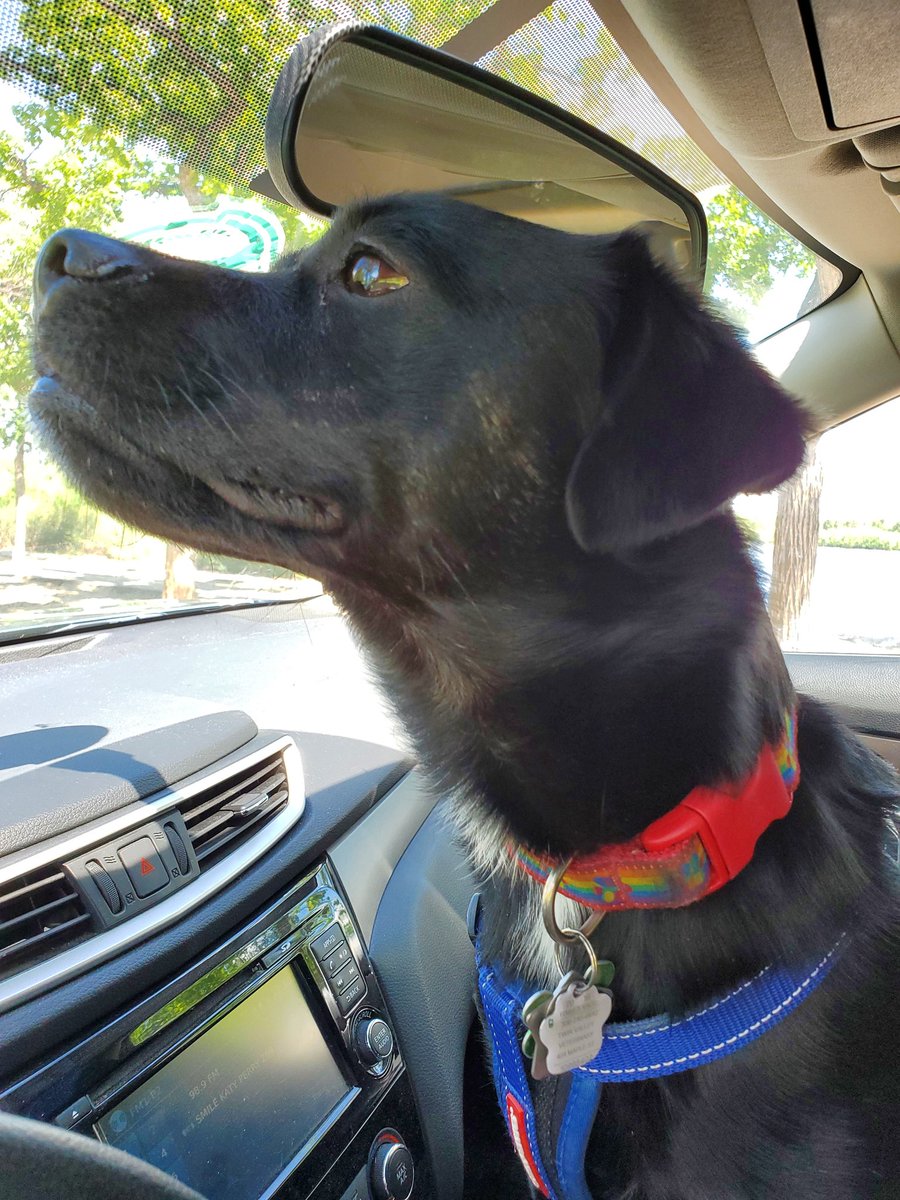 I have decided to spam Twitter with cuteness today!! Feel free to join me!!!