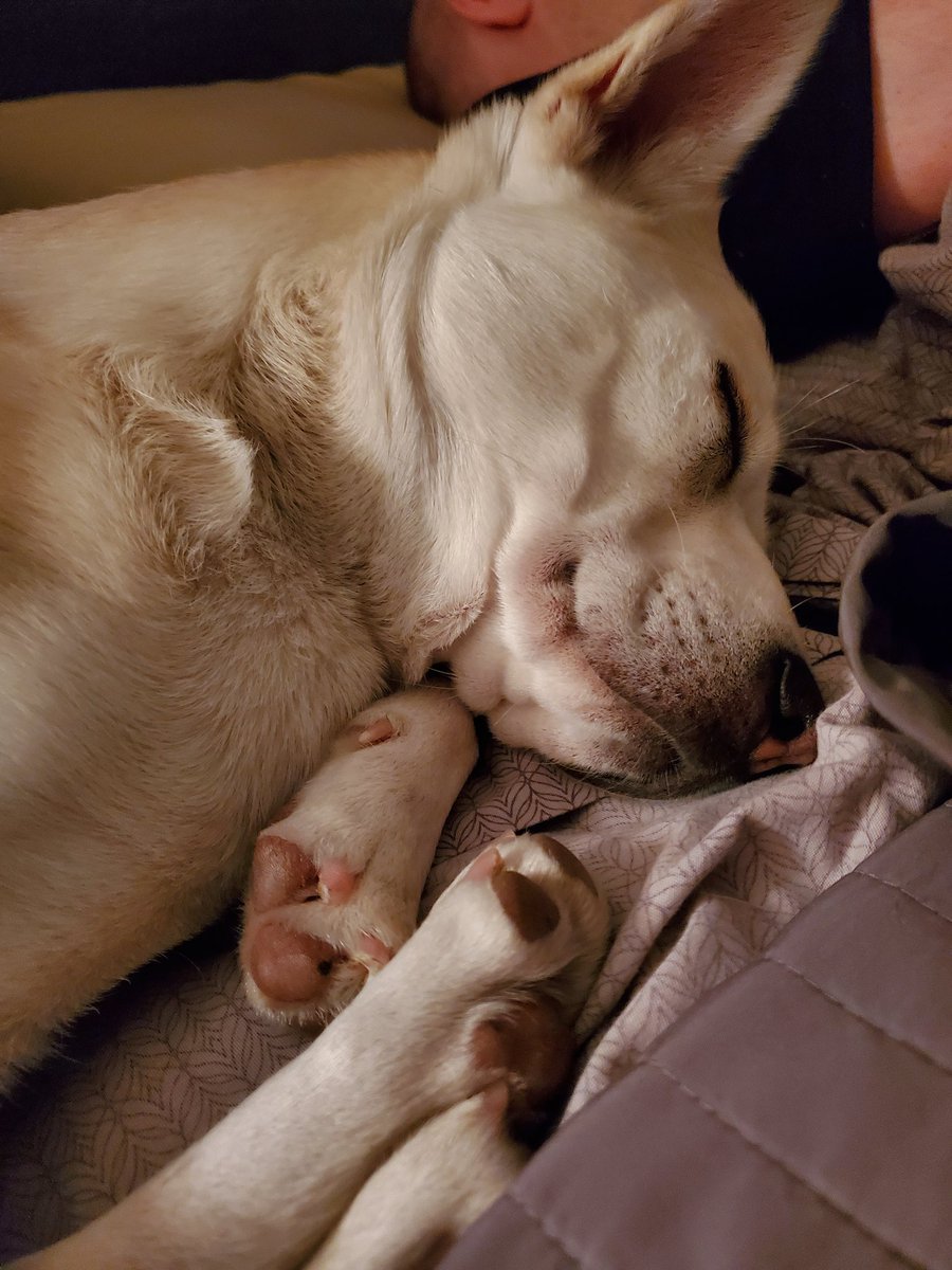 I have decided to spam Twitter with cuteness today!! Feel free to join me!!!