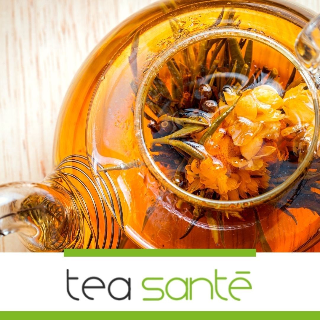 TeaTesters's tweet photo. With Tea Sante, every cup of tea is beneficial and delicious. Explore our inventory and find your perfect cup of tea today! https://t.co/bAIT2Y5ooC
.
.
.
#tea #teatime #bloomingtea #whitetea #greentea #blacktea #organictea https://t.co/869mpQ6sPU