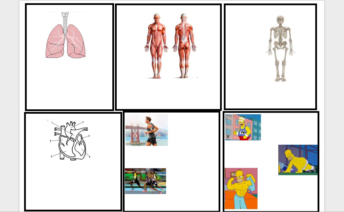 Created this learning/revision map for AQA GCSE PE - Chapter 1 . Includes all 6 subtopics (Respiratory/Muscular/Skeletal/Cardiovascular/Respiratory/Effects of Exercise). Printed onto A3 paper and given out to pupils to make notes from each topic in the box provided as retrieval.