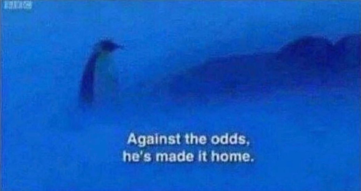 After every night out