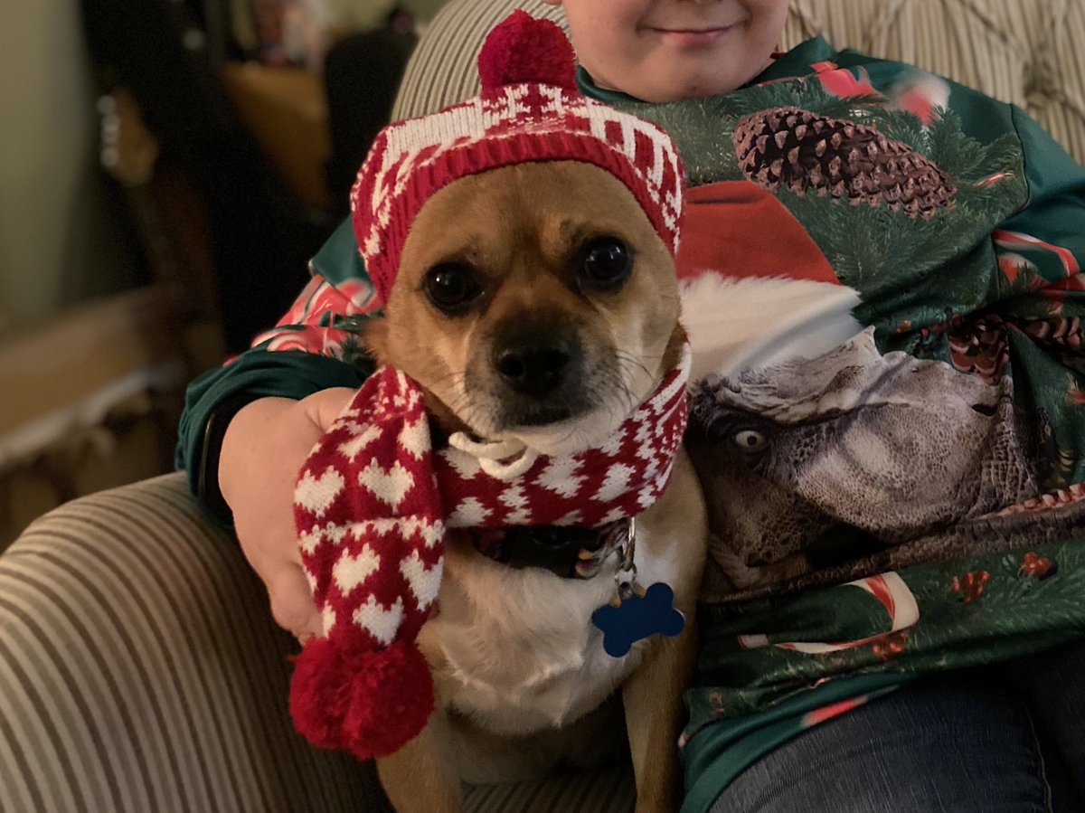 kdefran's tweet photo. @dog_rates @bestfriends @Trupanion https://t.co/teA0jH6HDU