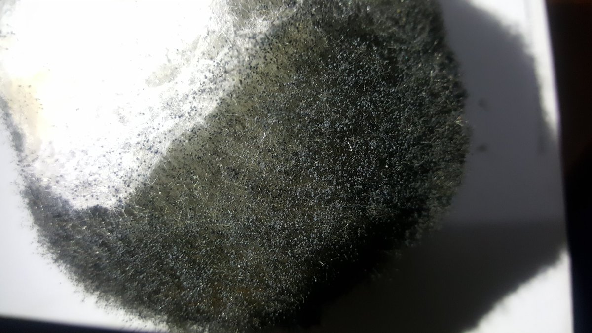 MiBonao's tweet photo. Hongo de la naranja: Citrus sinensis El agente causal es el Penicillium digitatum (moho verde)
#moho
#citrus
#sinensis
#penicillium
#digitatum https://t.co/5UWeHwHevG