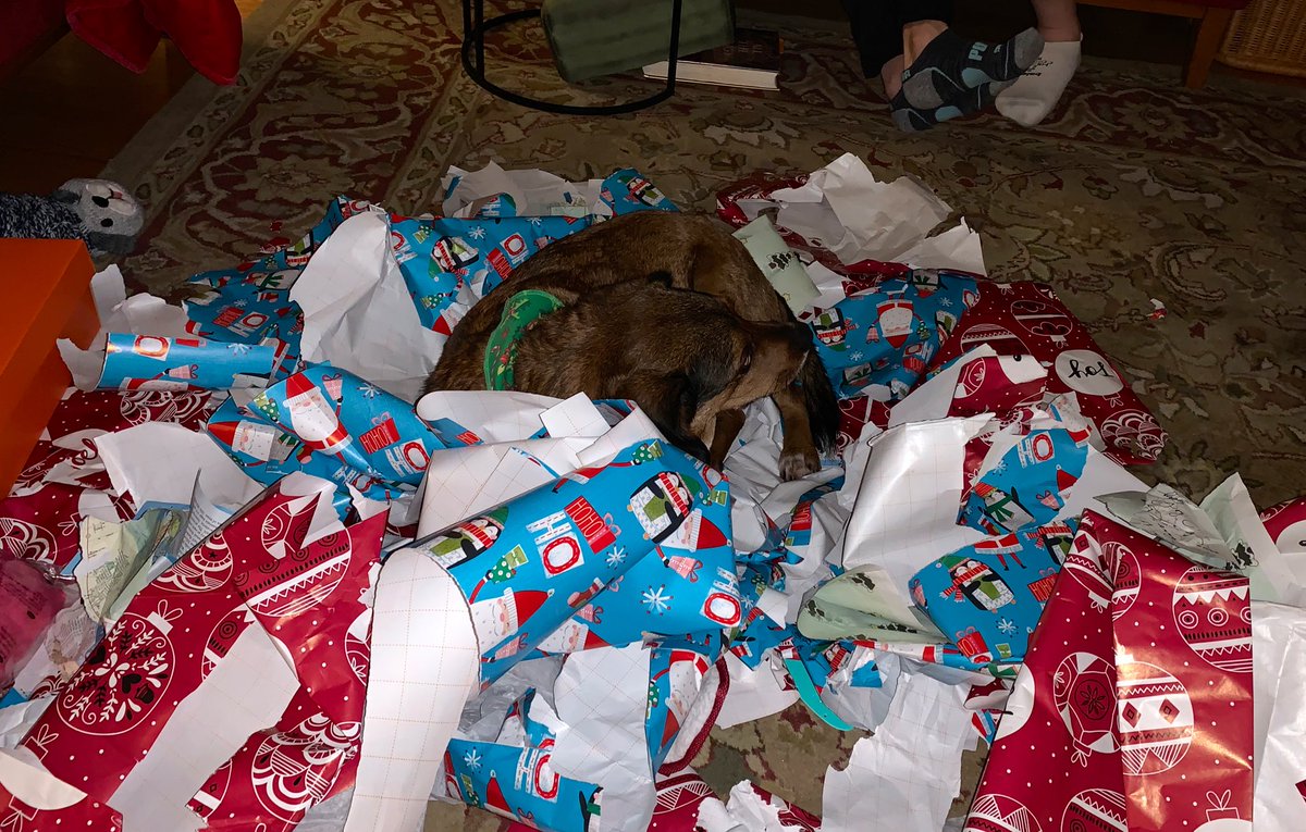 Grace Haugh tweet media