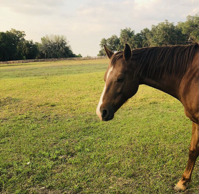 Babe https://t.co/sQ2KA1ho9O