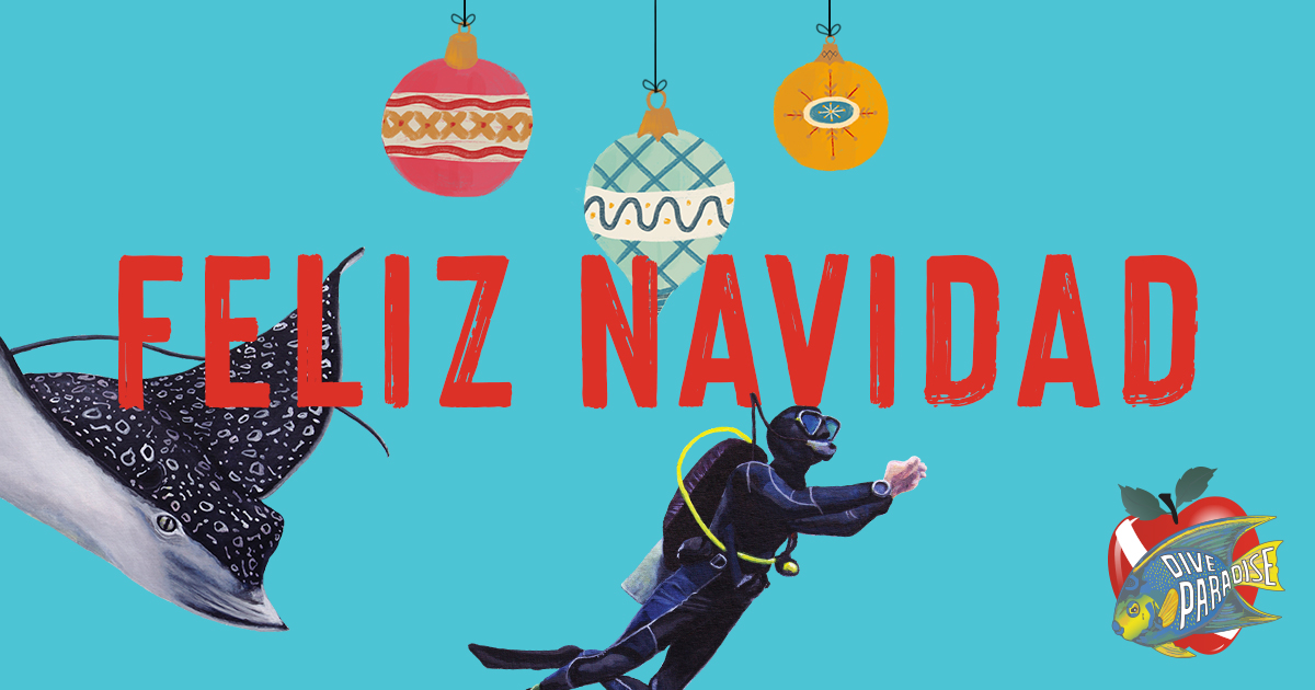 DiveParadise_Cozumel tweet media