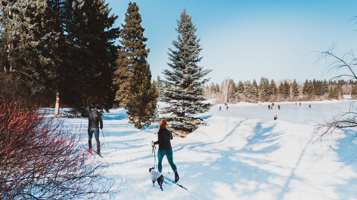 ExploreEdmCo's tweet photo. Our Travel Trade team also hosted Anderson Vacation, an Alberta based tour operator, as part of their Alberta webinar series inspiring domestic travel between Edmonton &amp; Jasper. Over 200 Canadian travel agents joined the webinar to learn about the destinations! #2020Win https://t.co/CKjMxdf3ss