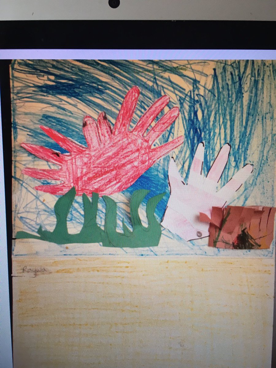 Debi Hochkeppel tweet media