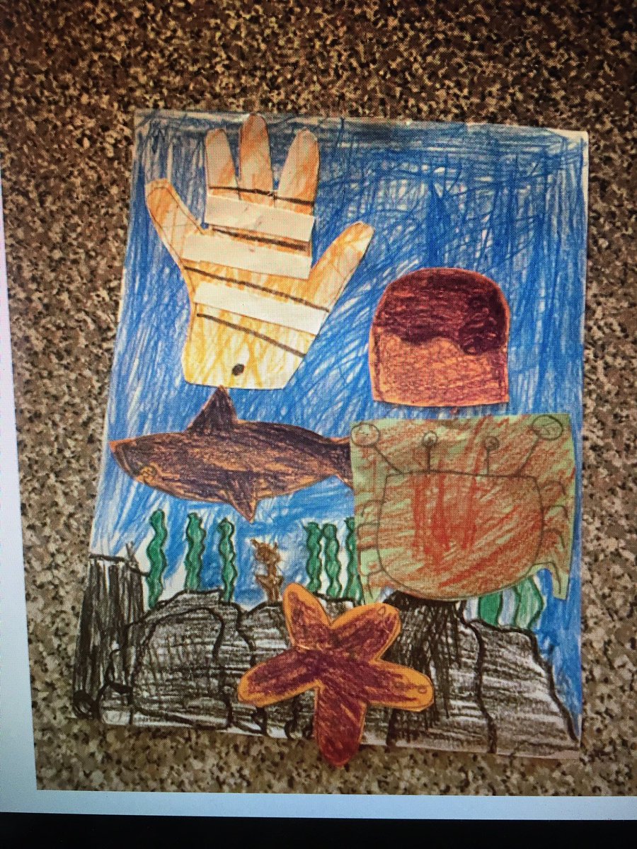 Debi Hochkeppel tweet media