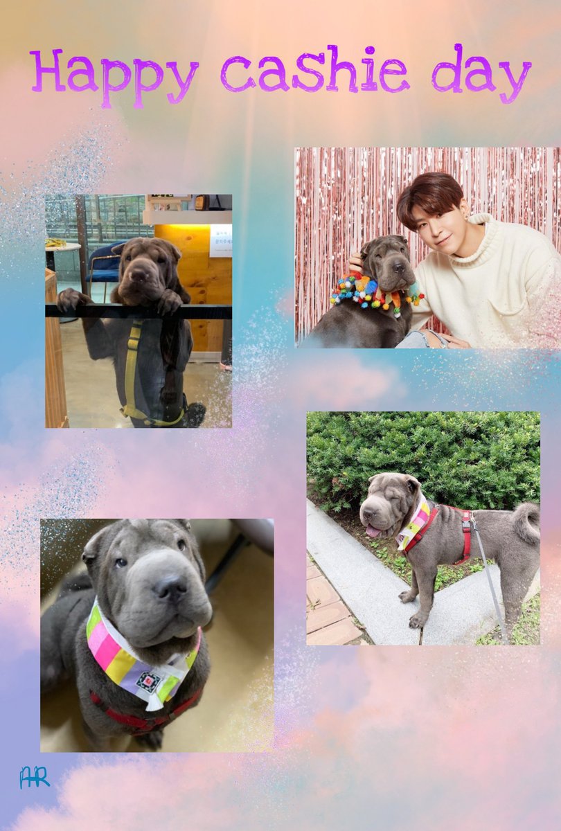 Yescaliz's tweet photo. Happy cash day also 🥳🎉, Vampz loves you a lot of cash, take care of the boys and take care of you, have a nice little cashie day 💗🐶

#HappyCashDay #VAV #브이에이브이 #VavCash @VAV_official @twt_VAV @VavCash https://t.co/GM1yzninIu