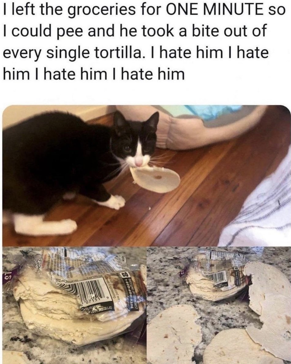 Men's Humor tweet media