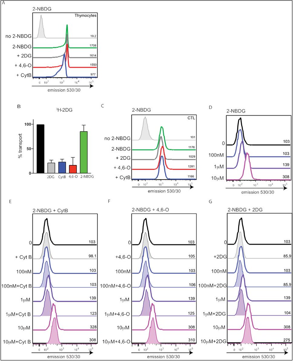 Immunometabolism Network (@immunomet) on Twitter photo An inconvenient but important finding -
2-NBDG uptake alone is not a reliable method for evaluating cellular glucose transport in immune cells.
#immunometabolism #immunology #flowcytometry
<a href="/LindaVSinclair/">Linda Sinclair</a>
ij.hapres.com/htmls/IJ_1290_… An inconvenient but important finding -
2-NBDG uptake alone is not a reliable method for evaluating cellular glucose transport in immune cells.
#immunometabolism #immunology #flowcytometry
<a href="/LindaVSinclair/">Linda Sinclair</a>
ij.hapres.com/htmls/IJ_1290_…