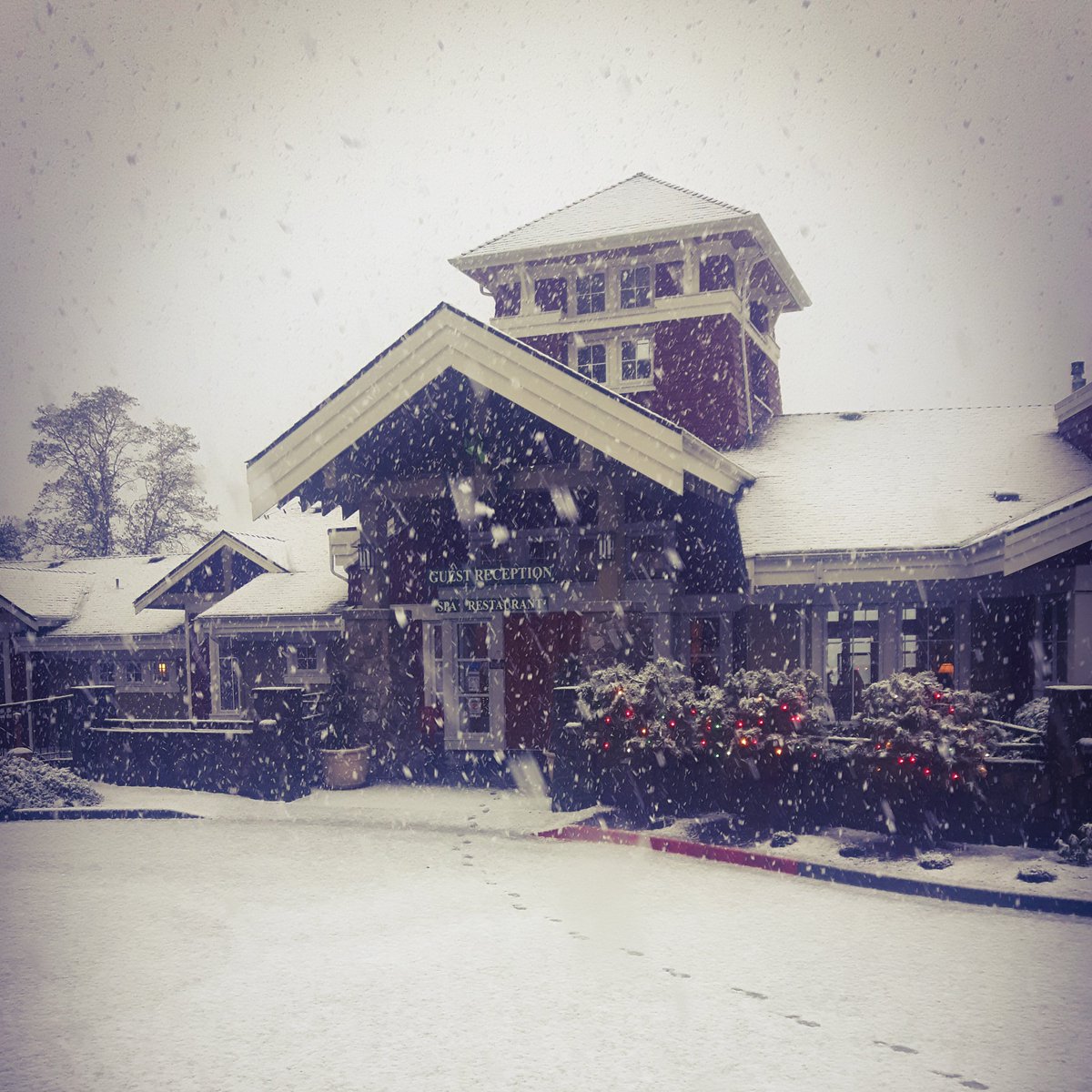 Poets_Cove's tweet photo. It's snowing @Poets_Cove #snowfall #penderisland #resortlife https://t.co/QXU8d73AtB