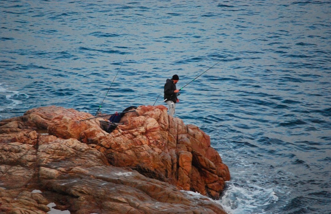 Josep Fradera i Camps tweet media