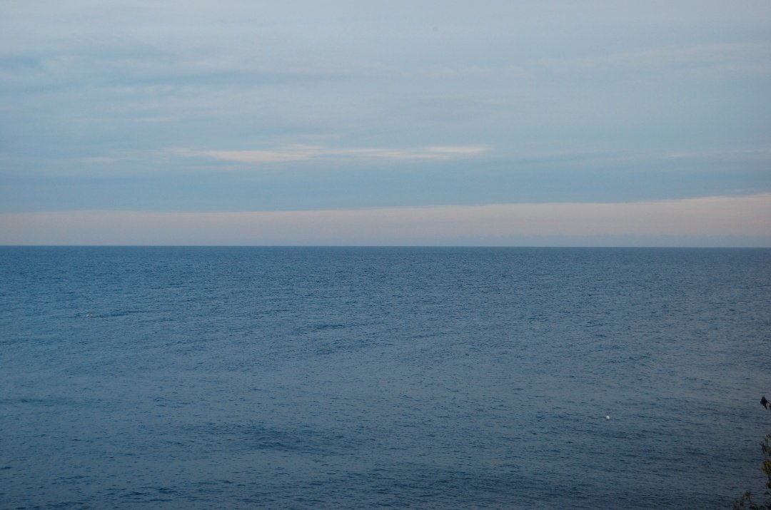 Josep Fradera i Camps tweet media