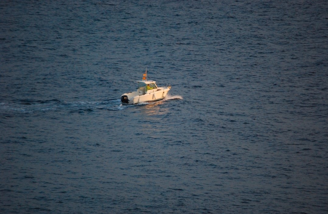 Josep Fradera i Camps tweet media