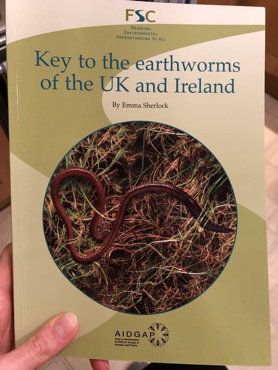 foundationfarms's tweet photo. You’re not alone. There are typically 200 earthworms per sq metre of soil in the UK (says @NHM_London). Learn more about them with this great publication by @earthwormsoc and how you can help us all learn more #aidgap #biodiversity #soil #worms #regenerativeagriculture https://t.co/lFkrhLtOsl