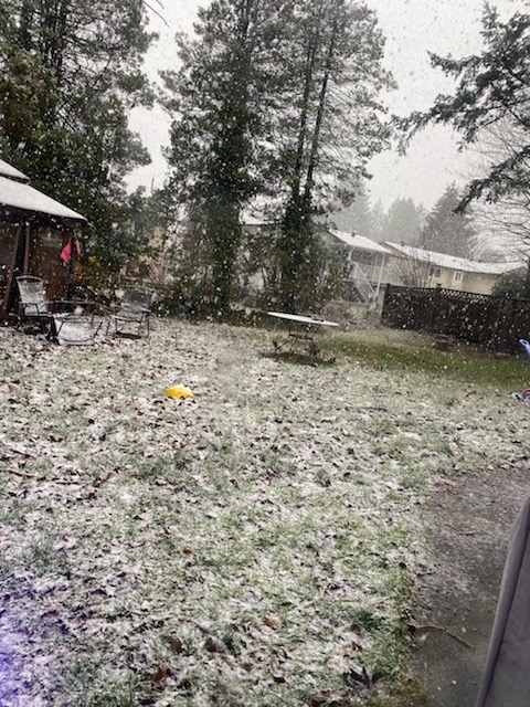 micheleacosta91's tweet image. #DeltaSnow #SnowBC