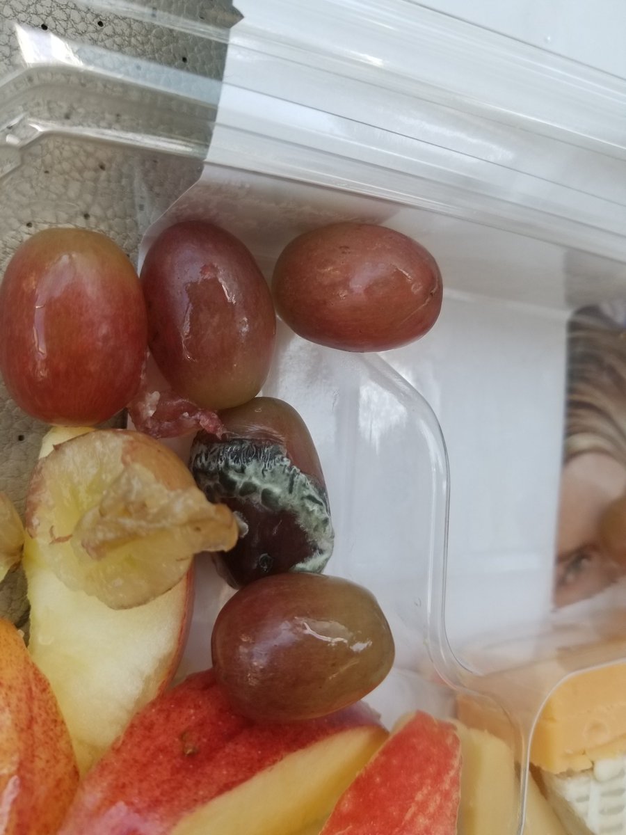 ganjadoll's tweet photo. @Starbucks @StarbucksNews heyy guys! I went to enjoy my fresh fruit, only to find out it's the exact opposite. :/ 🤮🤮😷🤢 https://t.co/xjgLxZmNb3