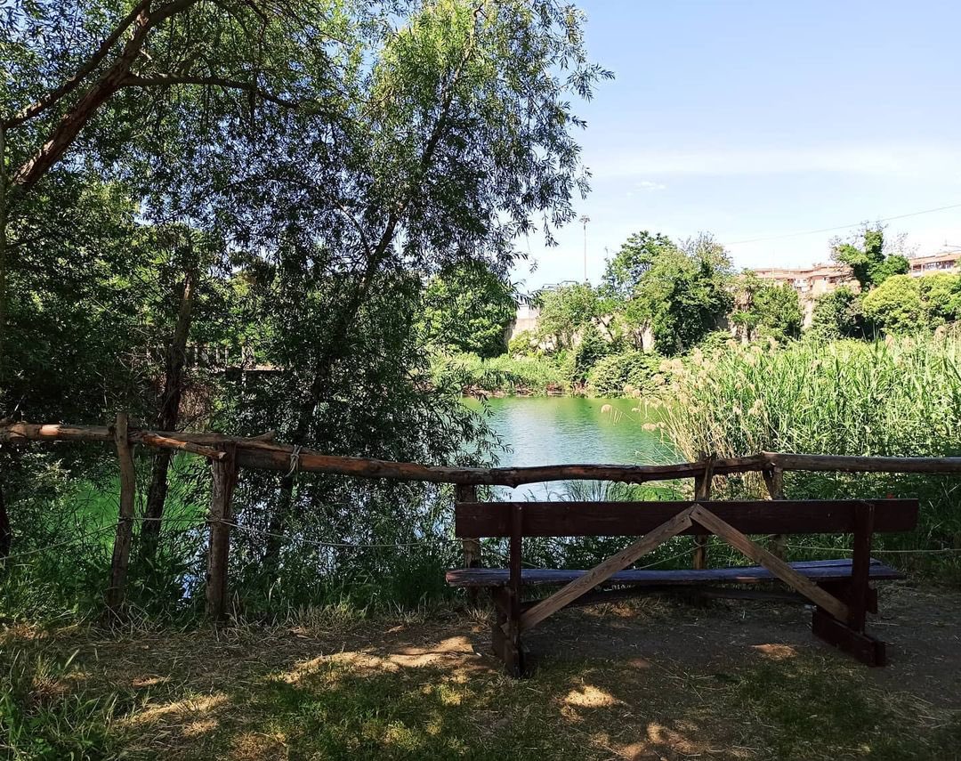 EnteRomaNatura's tweet photo. Torna l’appuntamento con @BGRLazio domani saremo in diretta ore 7:30 dal Monumento Naturale ex Snia Viscosa @paperaroxy e @Mau_Gubbiotti con i volontari e i gruppi che da anni proteggono e valorizzano questa meraviglia naturalistica nella campagna romana https://t.co/gMrO5ZYLJH https://t.co/7ay1Yk30Eg