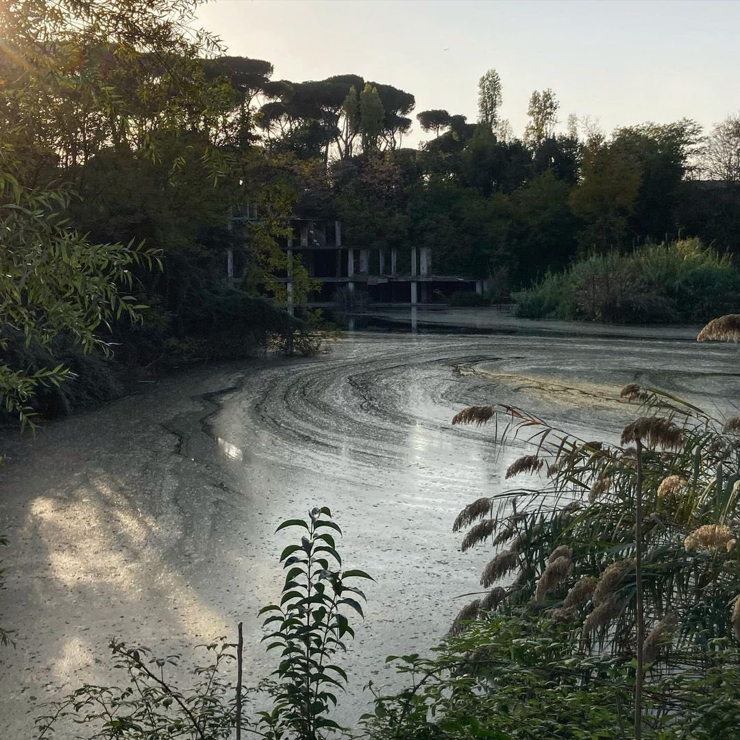 EnteRomaNatura's tweet photo. Torna l’appuntamento con @BGRLazio domani saremo in diretta ore 7:30 dal Monumento Naturale ex Snia Viscosa @paperaroxy e @Mau_Gubbiotti con i volontari e i gruppi che da anni proteggono e valorizzano questa meraviglia naturalistica nella campagna romana https://t.co/gMrO5ZYLJH https://t.co/7ay1Yk30Eg