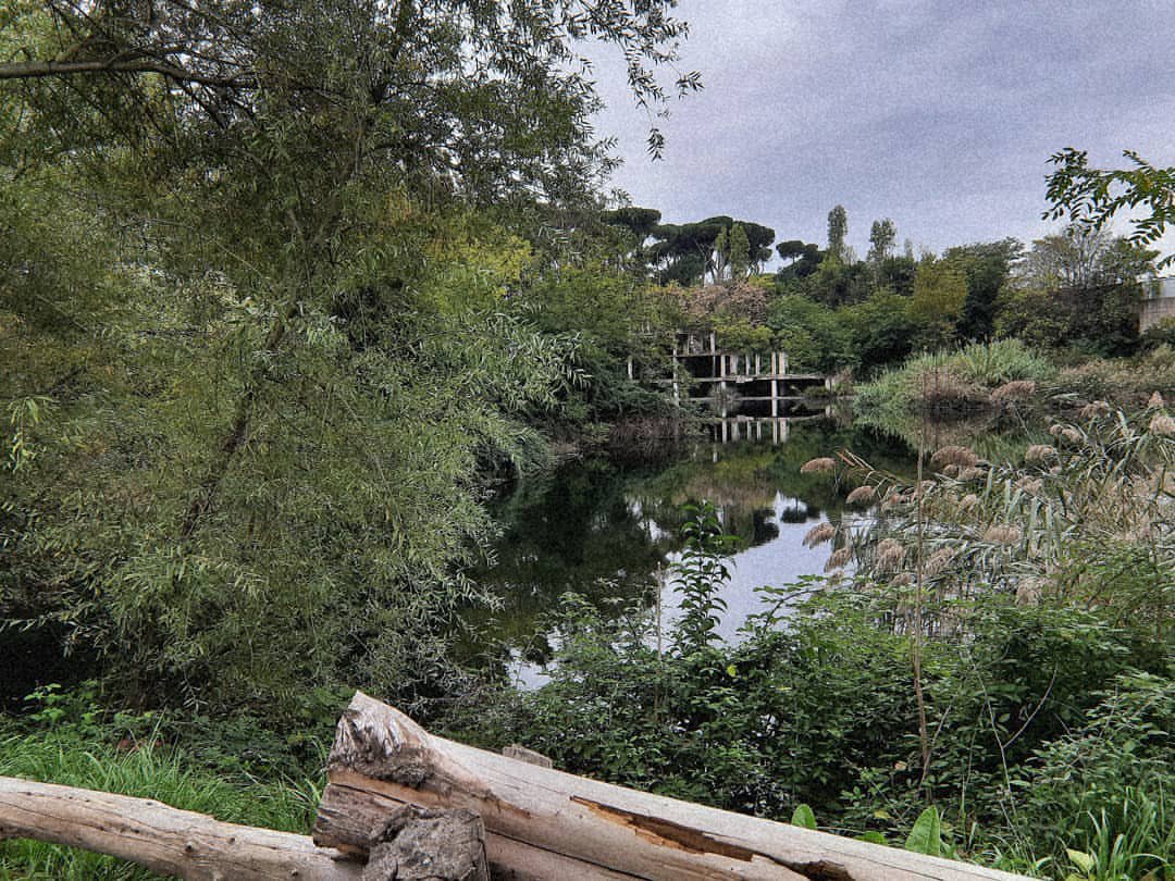 EnteRomaNatura's tweet photo. Torna l’appuntamento con @BGRLazio domani saremo in diretta ore 7:30 dal Monumento Naturale ex Snia Viscosa @paperaroxy e @Mau_Gubbiotti con i volontari e i gruppi che da anni proteggono e valorizzano questa meraviglia naturalistica nella campagna romana https://t.co/gMrO5ZYLJH https://t.co/7ay1Yk30Eg