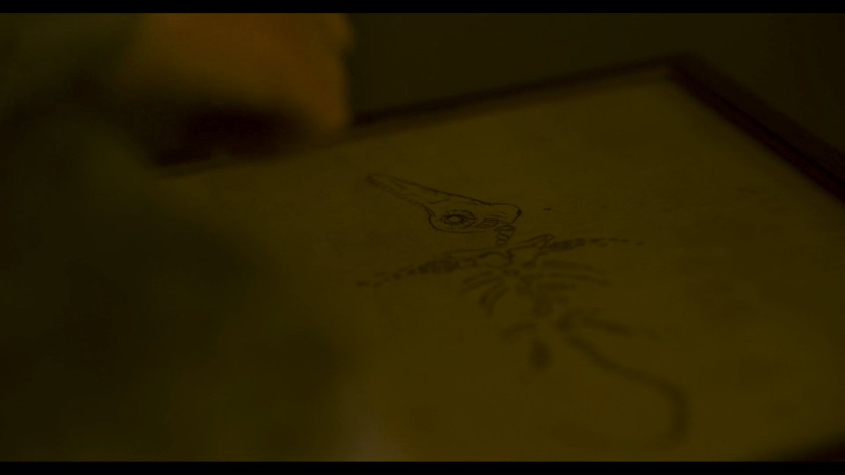  #Ammonite presents a 2nd scene where a female scientist discusses a fossil. Her pupil is not a patronizing man but a curious woman.The camera hangs close to the find, sensing the organic's impressions in the stone.A charged lesson. Sexual & intellectual intimacy intertwine.