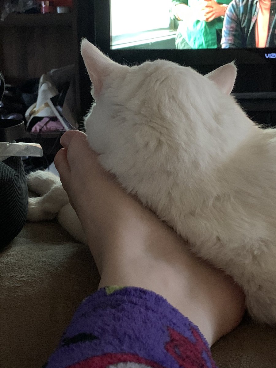 SprankleBot's tweet photo. Living my best life. https://t.co/eXCJss97HD