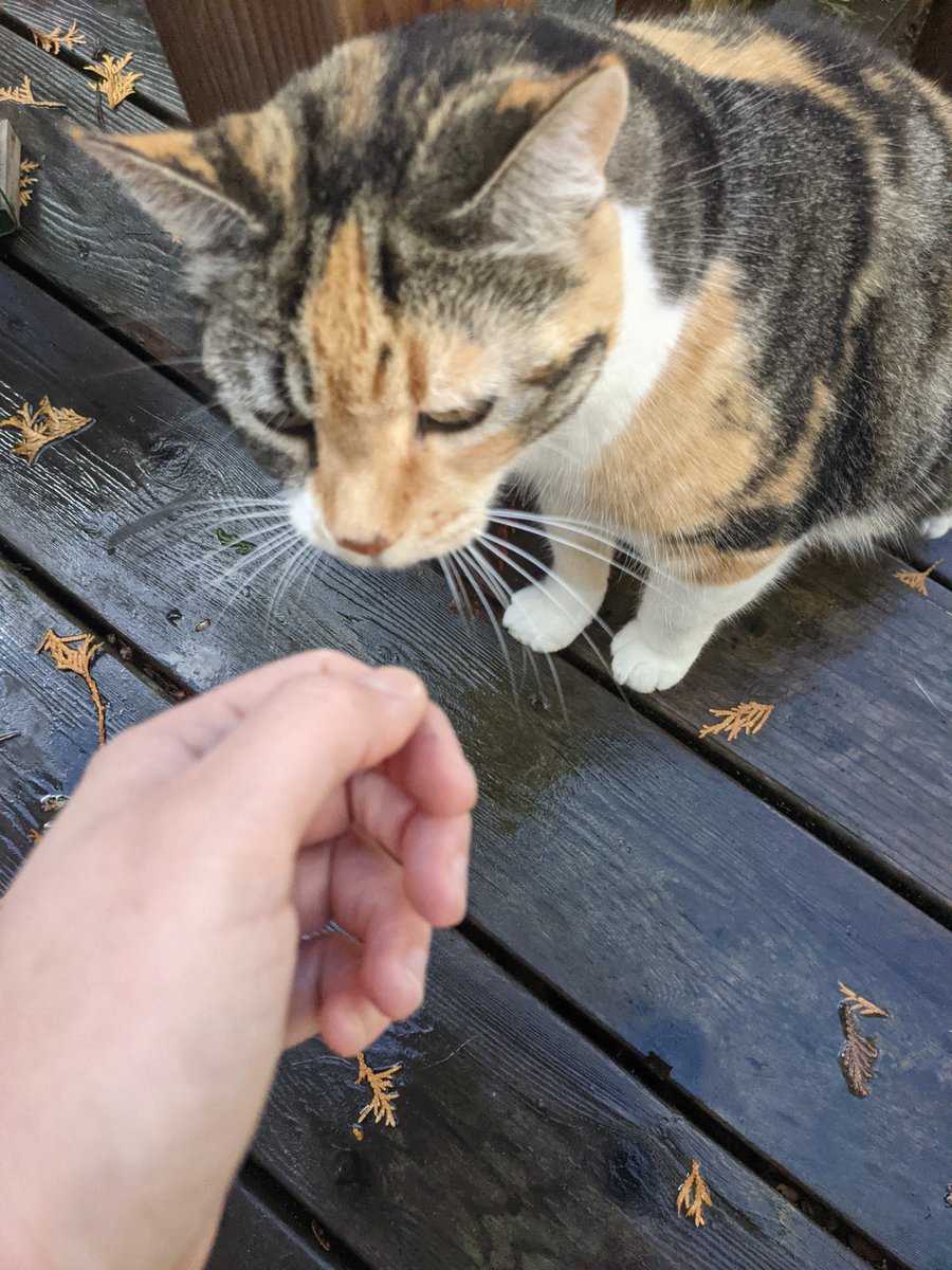 after 5 days MIA my strange angel has returned