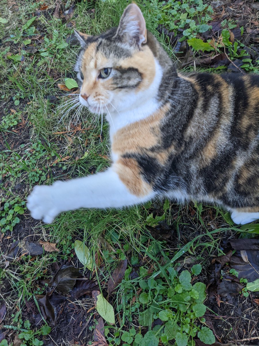 after 5 days MIA my strange angel has returned