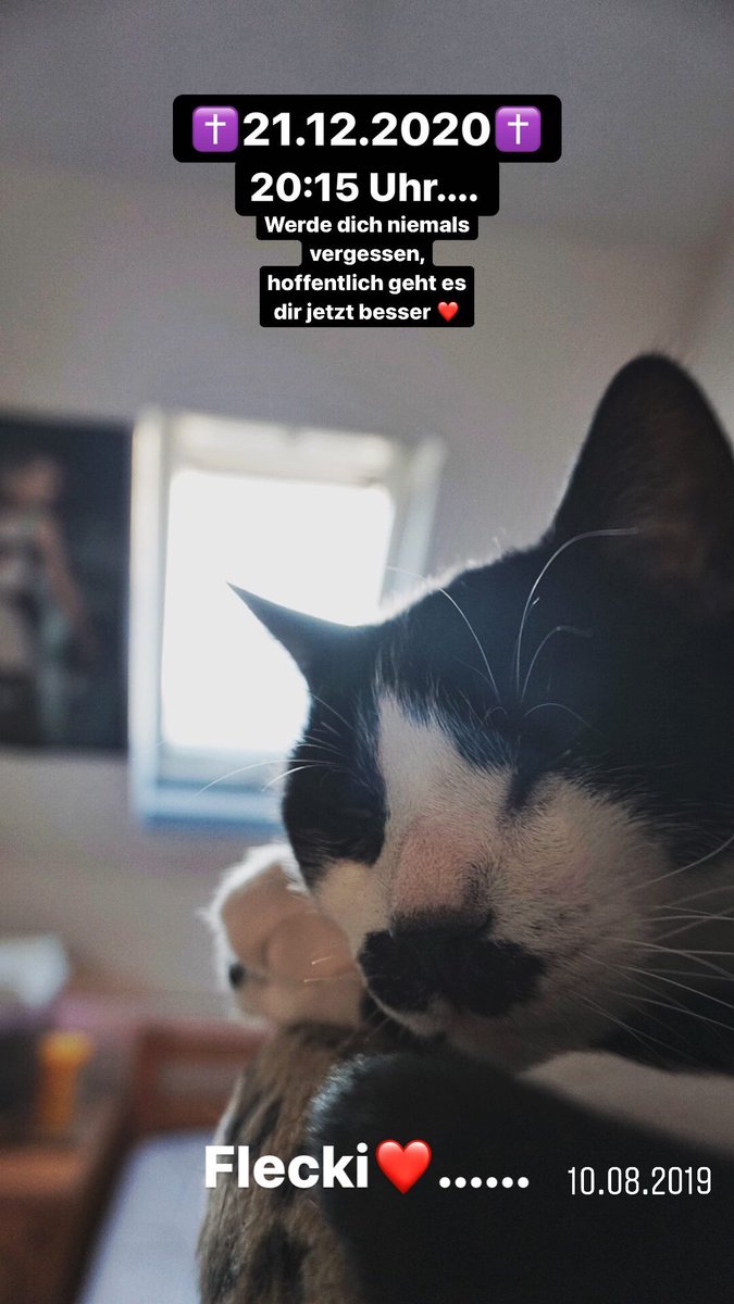 NilsKWR's tweet photo. Mögest du in Frieden ruhen ❤️🙏🏻 https://t.co/SLA9CJqYBQ