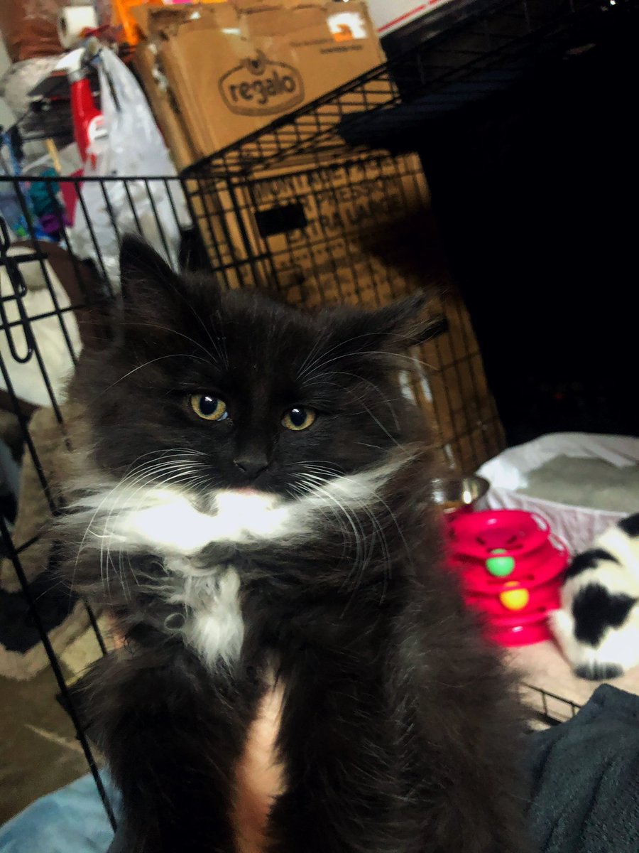 welcome home tater butt