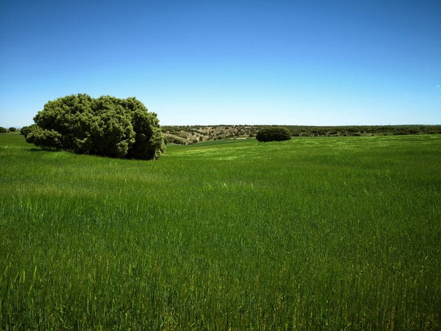 TurboLangs's tweet photo. "Sólo los seres que gozan libremente de un vasto horizonte son felice."
[Damodara]

¿Qué tal aprender #sánscrito? 🇮🇳
#turbolangs

(Llanura de Medinaceli, Soria / Alan Angelats - Unsplash) https://t.co/Vs1wPVedo2