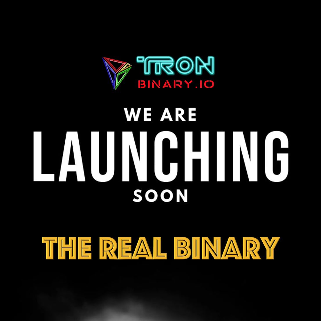 Tron Binary Official (@binary_tron) / Posts / X