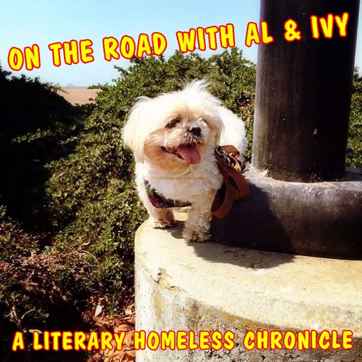 On The Road With Al and Ivy: December 2020! Man From U.N.C.L.E., Puzo's Godfather, Dumas' Three Musketeers, Robin Hood, music business, Ali Campbell UB40, New illustrations and more!
ontheroadwithalandivy.blogspot.com/2020/11/here-w…