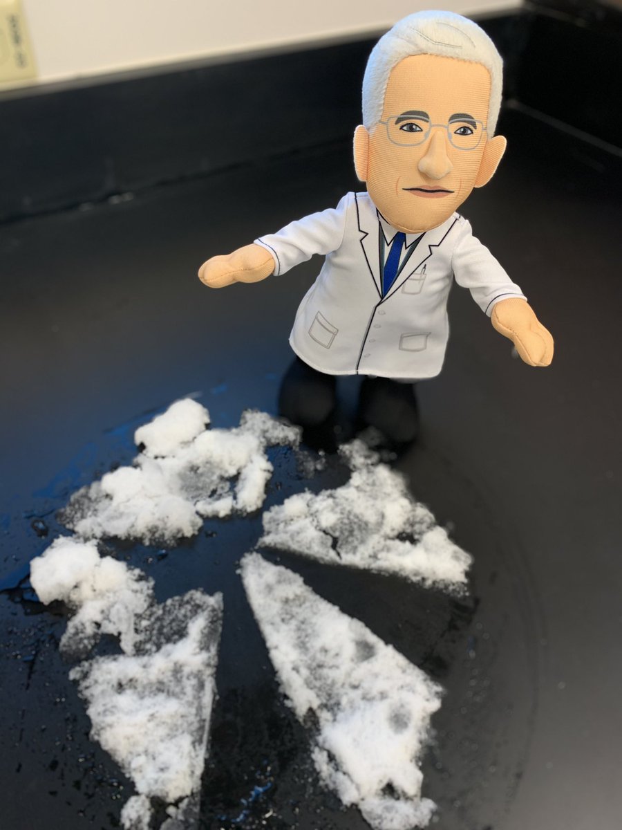 DrLcbl's tweet photo. No hope for a white Christmas ๐ in Arkansas. So I made snow angels โ๏ธ from -80 frost #followfauciforfun #UAMS #ACRI #LCBLab #labhumor https://t.co/5V0XXIBWHO