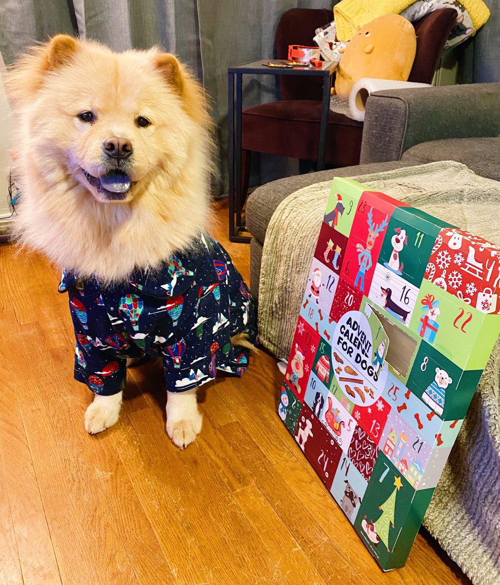 mcm_chowchow's tweet photo. @dog_rates @bestfriends @Trupanion 🎄🎁🦴 https://t.co/44iRmnmg1x