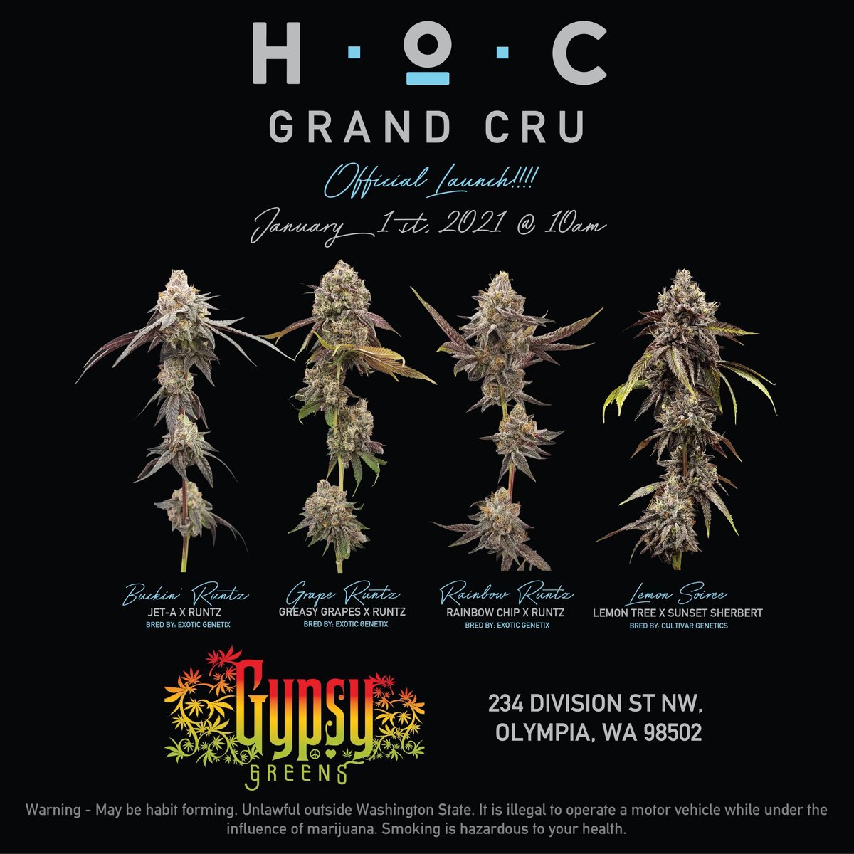 GypsyGreens's tweet photo. Want to kick off the new year the right way? well, we have something special for you :) #shoplocal #shopoly#washingtoncheck#olympia #gypsygreens#gypsygang https://t.co/CbkAJ8Fj1W