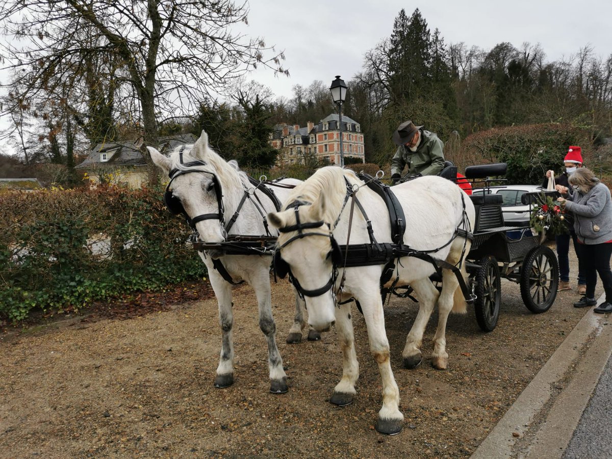 Commune de Pierrefonds tweet media