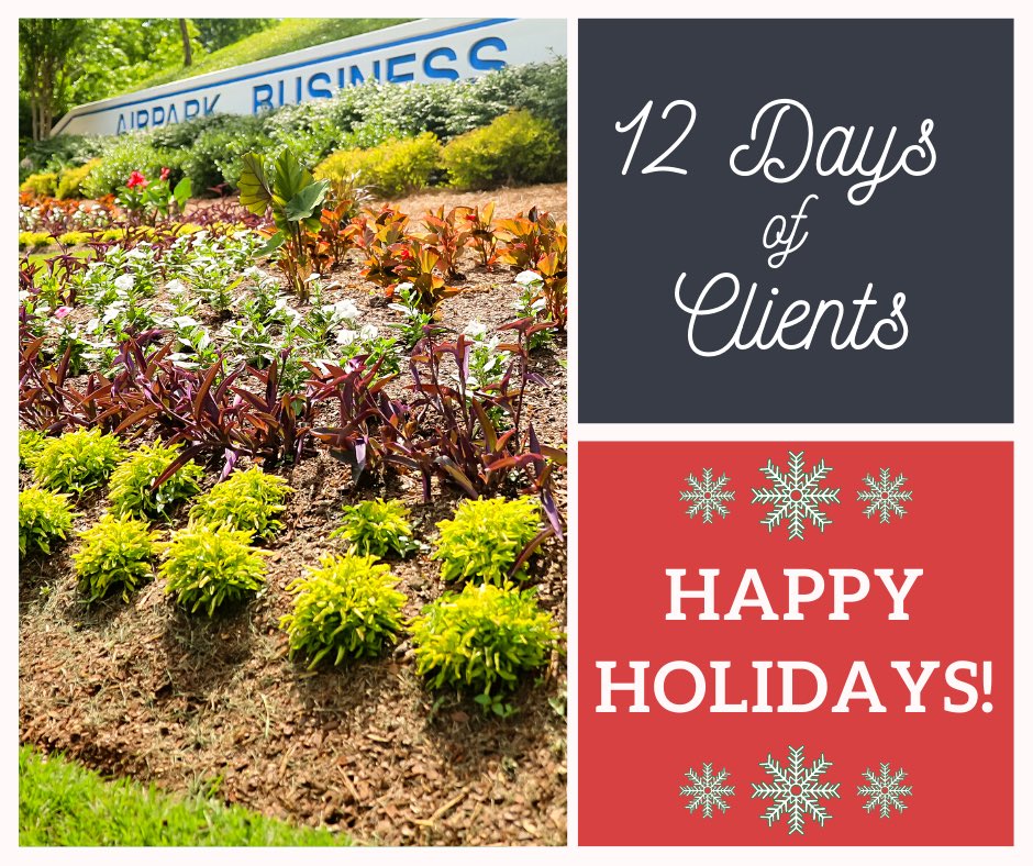 Landscape Workshop tweet media