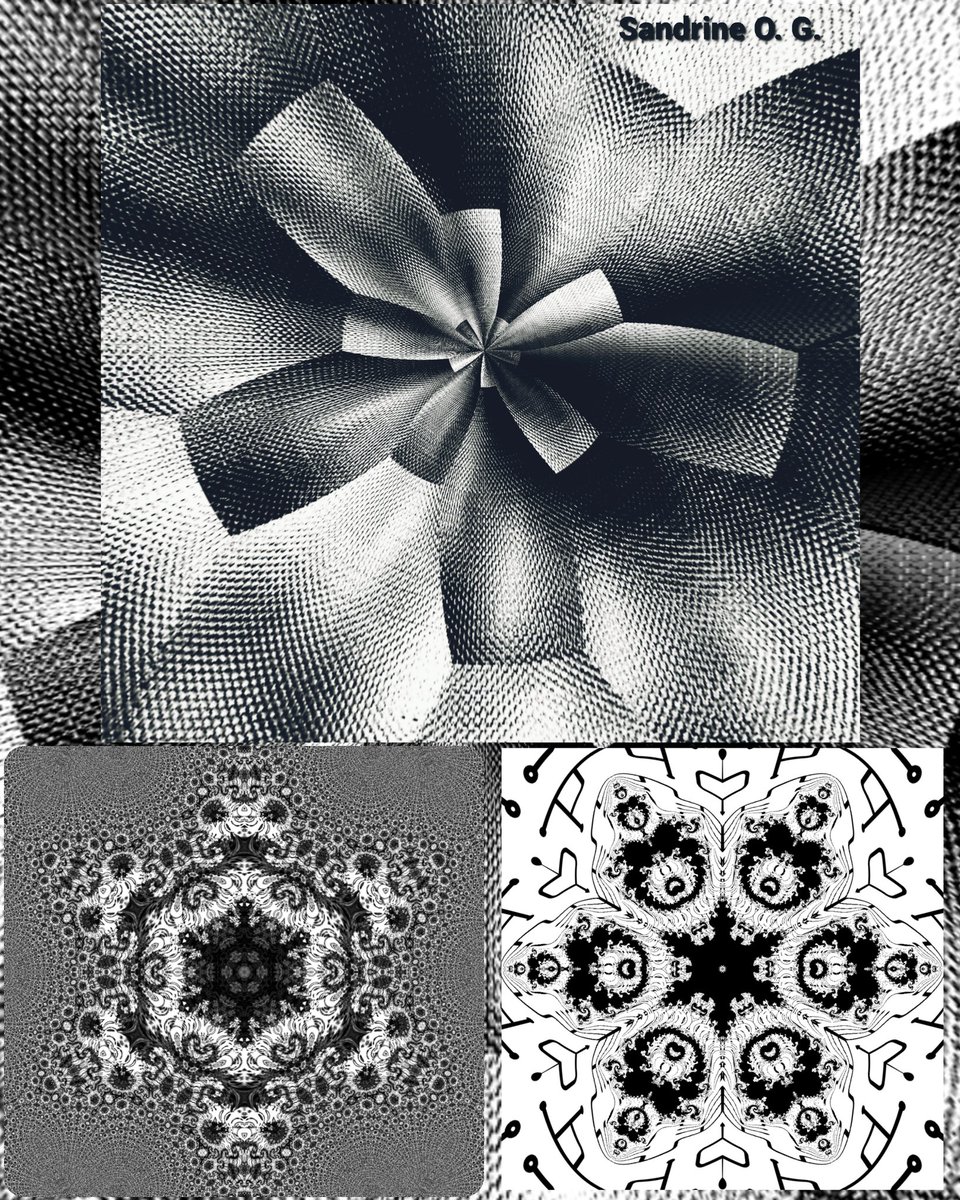 Variations de fractales argentiques #fractale #fractalart #blackwhite 
#papiercadeau