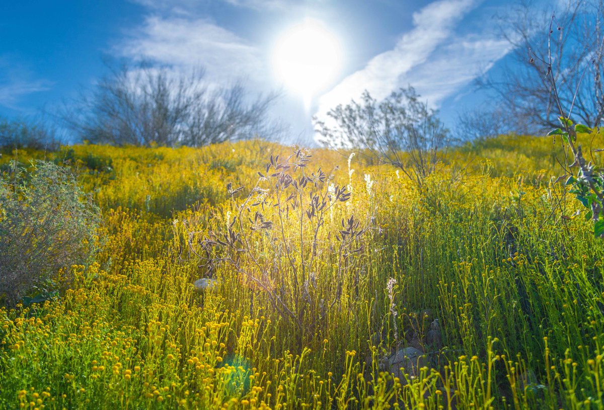 75 degrees on December 21st,  just another reason to Visit Peoria and enjoy the natural beauty.