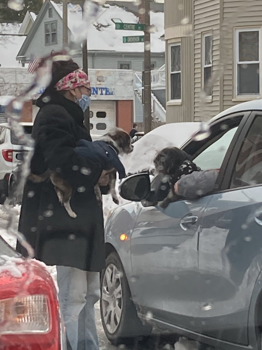 shosh (@shoshmcgosh) on Twitter photo 