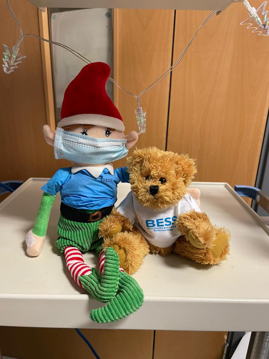 Today #FizzyTheElf has spent the day on intensive care with the respiratory #physiotherapy team and #BESSieBear 

He’s learned all about <a href="/BESStudy/">BESS</a> and the role physios play in this #researchstudy here at <a href="/Leeds_Childrens/">Leeds Children's Hospital</a> 

#FizzyHoHoHo #ElfOnTheShelf #PICU #ICU #LeedsPaeds #NHS