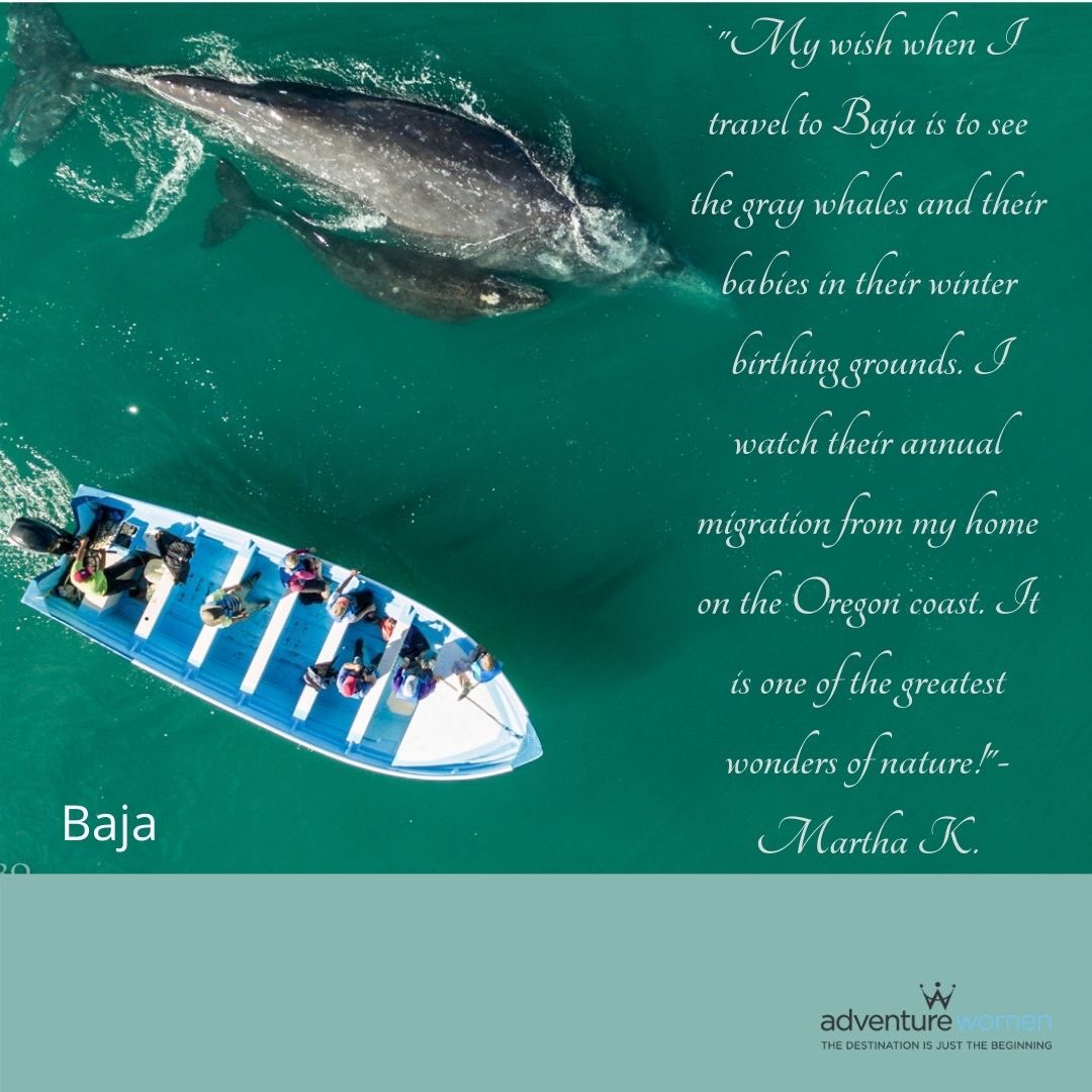 AdventureWomen tweet media