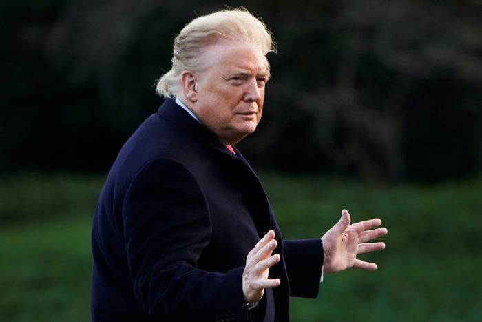 February 7, 2020: The president’s more-than-natural complexion stands out in the late-day sun as he walks across the South Lawn of the White House  http://nym.ag/38tsOtU 