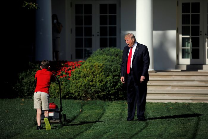 September 15, 2017: President Trump supervises an 11-year-old boy mowing the White House lawn  http://nym.ag/38tsOtU 